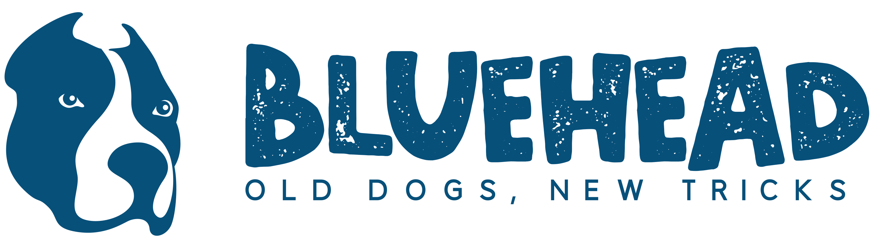 BlueHead Limited Logo